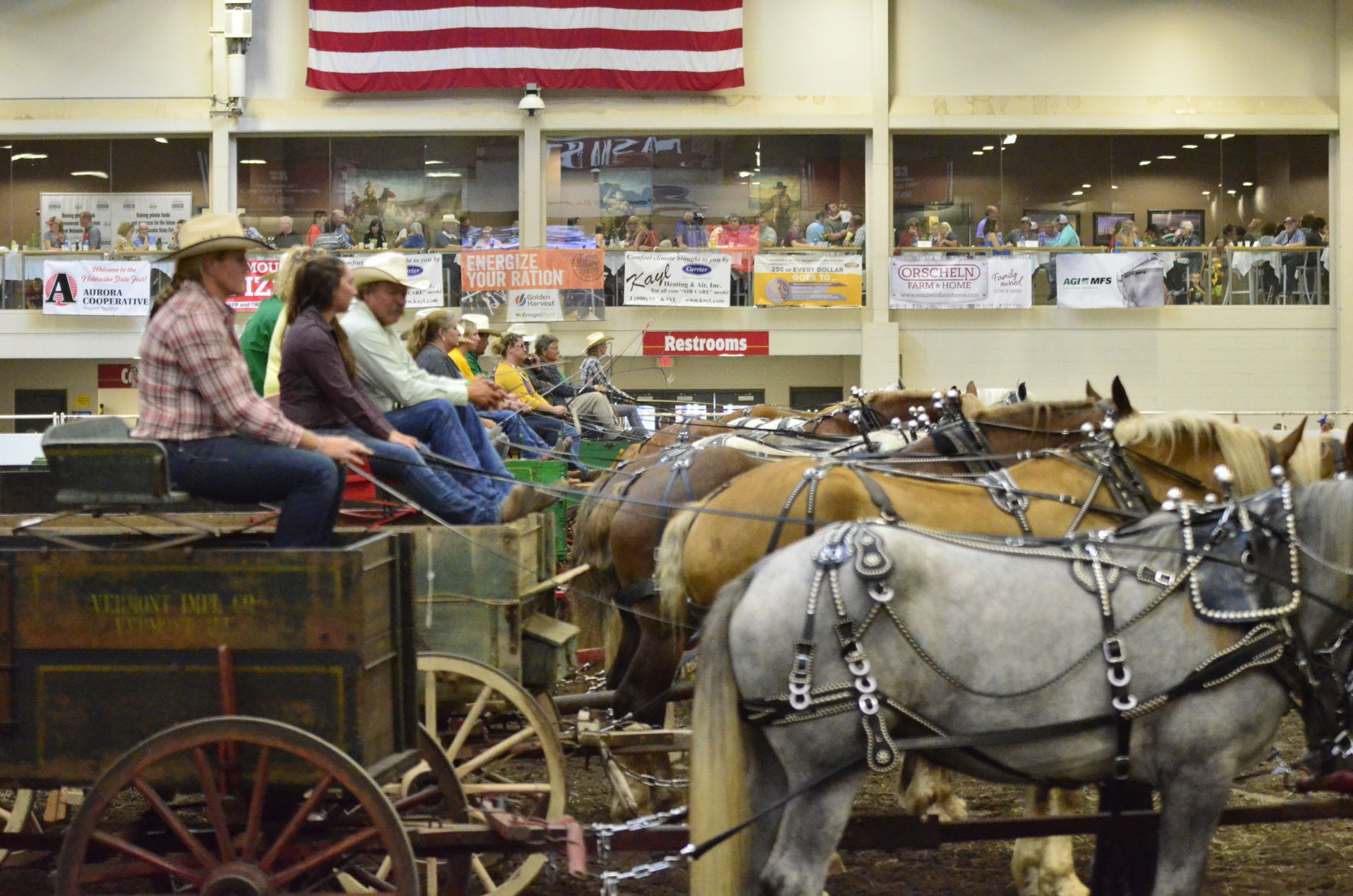 8-25-19 Draft Horse Hitch Final (74).JPG